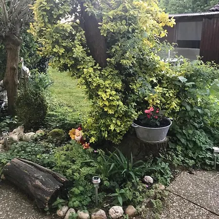 Ferienwohnung Familie Klasen 아파트 Hartenreuth